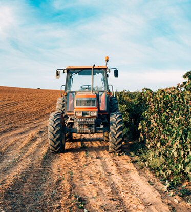 Why Agriculture & Eco is for the Envoirment