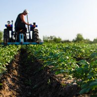 Agriculture Products